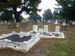 New Norfolk Cemetery